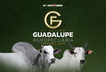 7º LEILÃO GUADALUPE AGROPECUÁRIA - EXPOZEBU